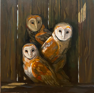 Three Barn Owls