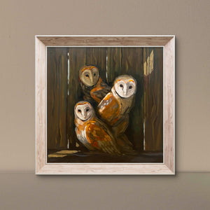 Three Barn Owls