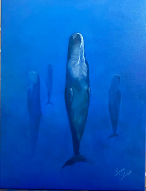 Sleeping Sperm Whales