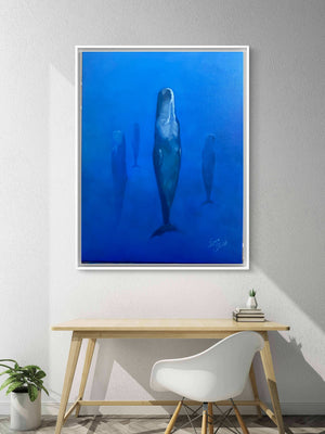 Sleeping Sperm Whales