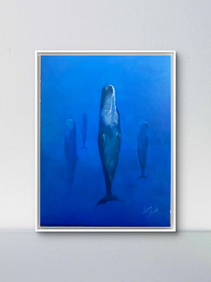 Sleeping Sperm Whales